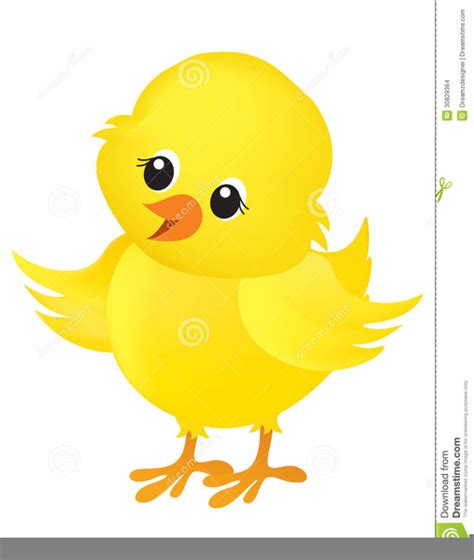Free Clipart Of Baby Chicks Free Images At Vector Clip