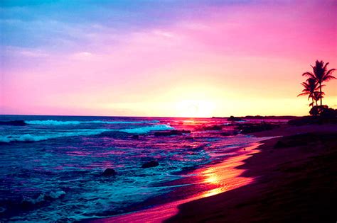 1920x1080px 1080p Free Download Hazy Sunset Beach Tree Purple Sunset Pink Sea Blue Hd