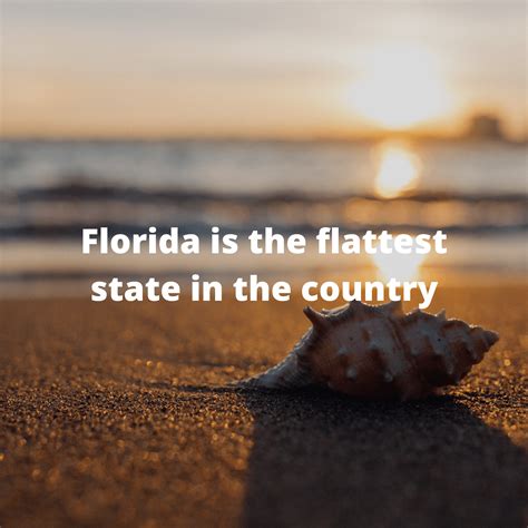 Florida Fun Facts Florida Adventure Map