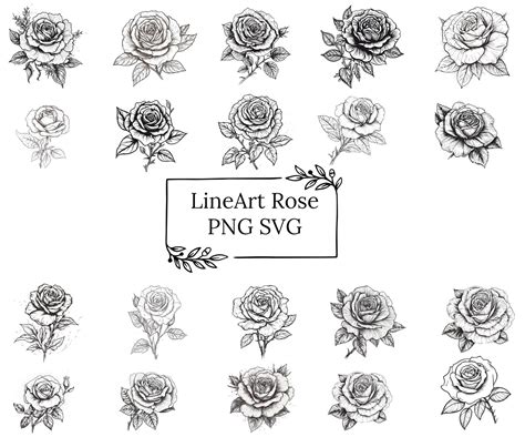 20 Rose Svg Designs Rose Svg Rose Bundle Floral Svg Etsy