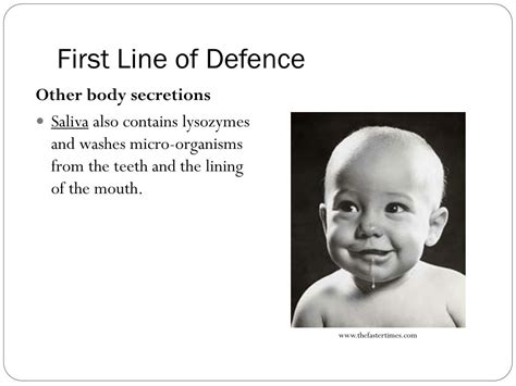 Ppt A Search For Better Health Topic 7 First Line Of Defence