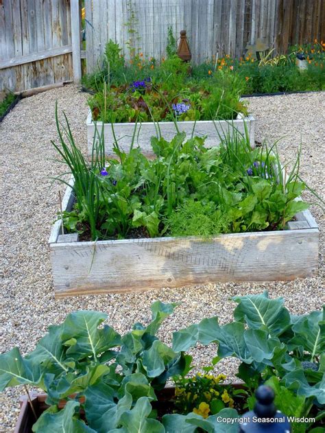 Dry landscape gardens lack one elements that ties together all other styles of japanese garden: pea gravel garden | Home and Gardens | Pinterest | Gardens ...