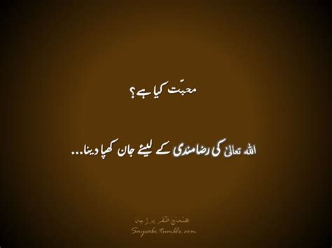 273 Best Images About Urdu Quotes On Pinterest Follow Me
