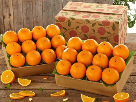Florida Navel Oranges Hale Groves Ship Florida Oranges