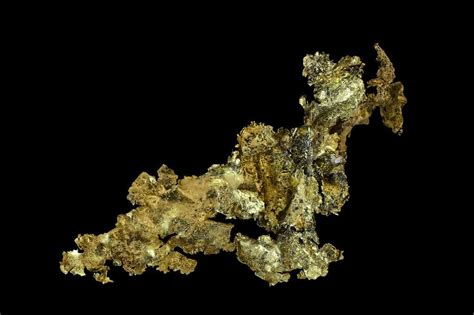 Discover The Largest Gold Nugget Ever Found In California A Z Animals