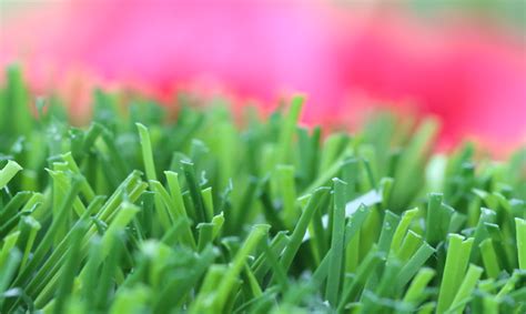 Get your free estimate today! Greenest Artificial Turf Artificial Grass San Francisco ...