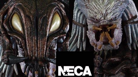 The alpha predator is based neca's upcoming figure of the same name. NECA TOYS Alpha Predator/Predator Hunting Grounds code ...