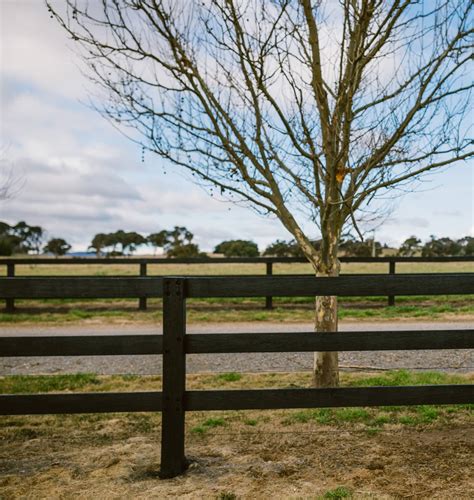 Which is the best timber fence paint for my fences?