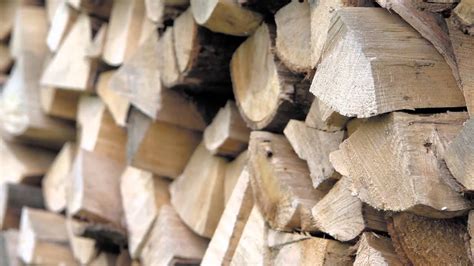 We did not find results for: How to identify good firewood - YouTube