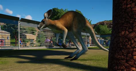 Planet zoo animal list - leafjord