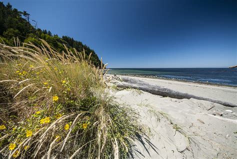 Fort Worden State Park Beach Campground + Upper Forest Campground