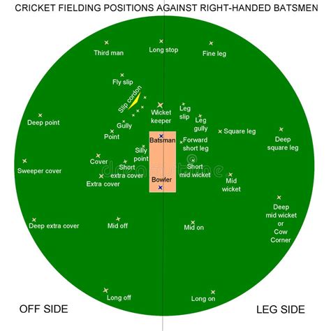 Part of cricket for dummies cheat sheet. Cricket fielding positions stock vector. Illustration of ...