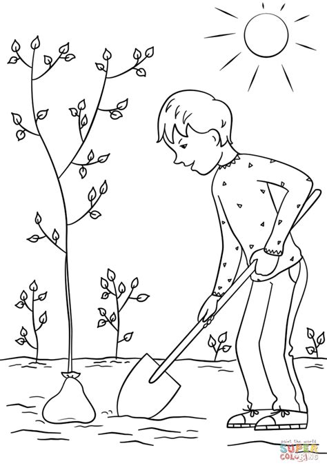 Dibujo de Niño plantando un árbol para colorear | Dibujos para colorear