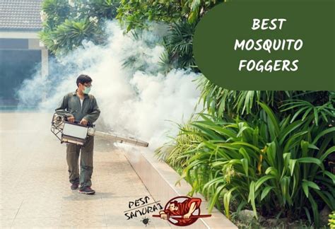 Best Mosquito Foggers Top Choices For Effective Pest Control Pest