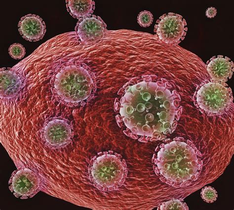 Diagram Diagram Of Hiv Infection Mydiagramonline