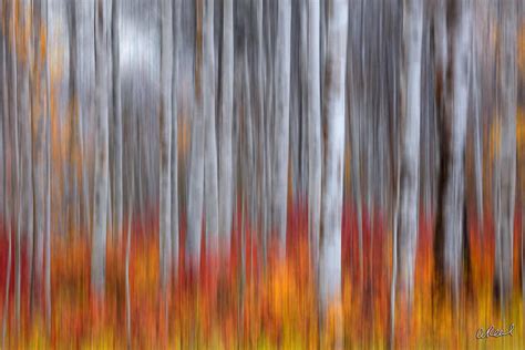 Interview Landscape Photographer Reveals Abstract Beauty Of Nature