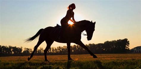 6 Commonly Asked Questions About Horseback Riding Horse Web