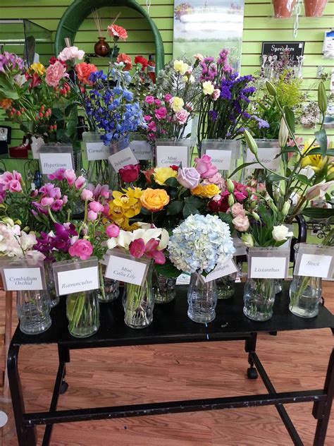 There are thousands of species of flowering plants all around us. So many beautiful flowers to pick and choose from on ...