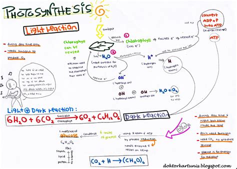 BIOLOGI NOTA NUTRISI BIO F4