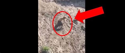 Man Suffers Brutal Fall Off Of A Cliff In Viral Video The Daily Caller