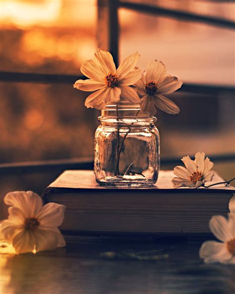Creative Whatsapp Dp - Creative Photography Images If you are searching for best dpz for facebook, instagram and whatsapp then our article will help you to find out beautiful hd pics which are new and stylish.