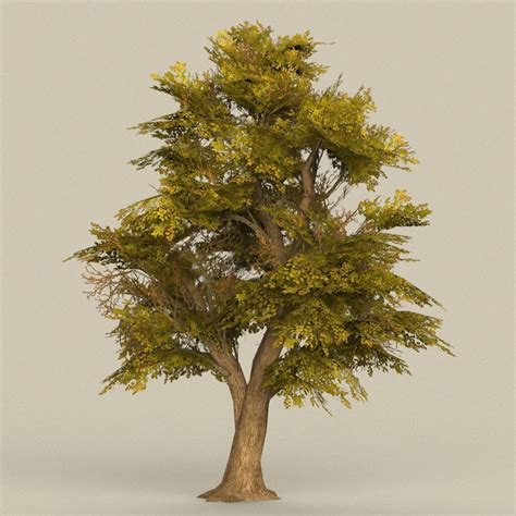 3d Model Low Poly Game Ready Tree 17 Cgtrader