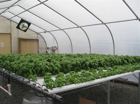 Jun 17, 2021 · reddit hydroponic-nft-system-commerical-farm-herbs-basil - AmHydro