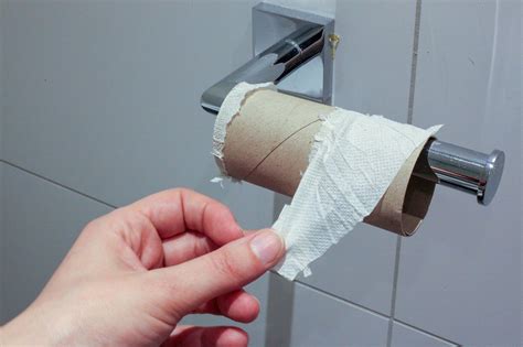 It's not hard to install a toilet. Toilet Paper Calculator - How Much Toilet Paper Do I Need ...