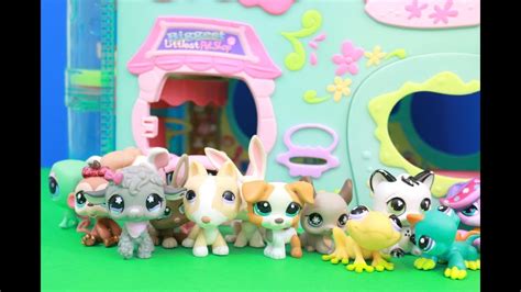 Food, treats, toys, collars, leashes, cat litter, cages and aquariums. Littlest Pet Shop House Hasbro review LPS House toy ...