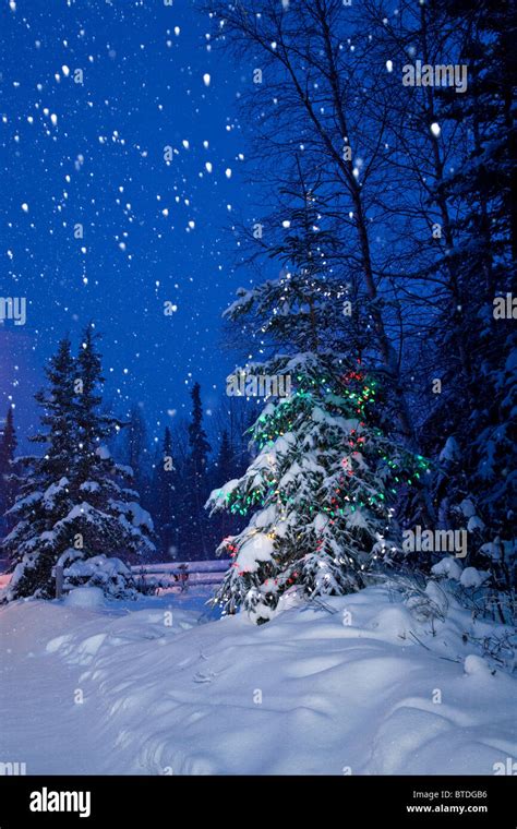 Snow Falling In The Forest With A Decorated And Lit Tree In The