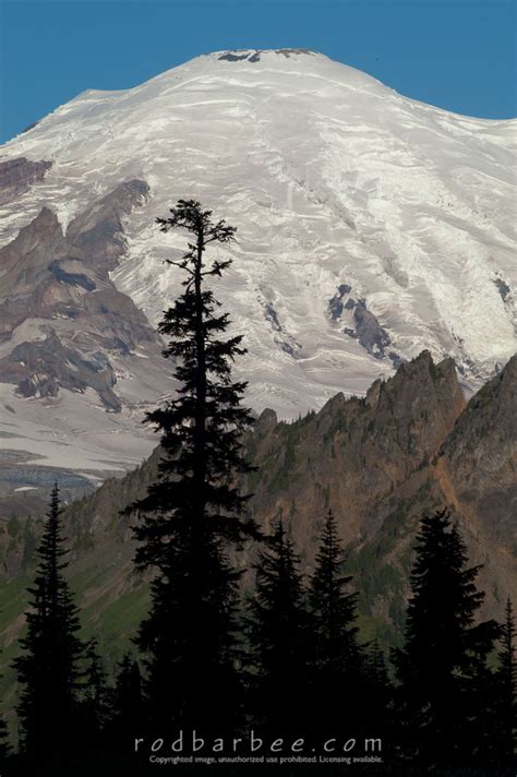 Mt Rainier National Park Photographers Guide To Western Washington State