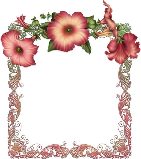 Flower Frame Border Transparent