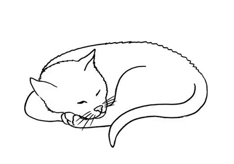 Outline Cat Laying Down Drawing Denki Wallpaper