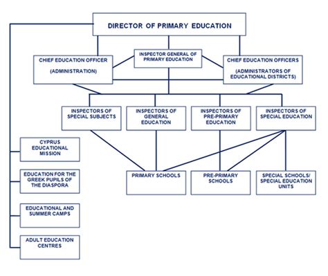 Department Of Primary Education