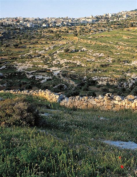 The Shepherd Fields Around Bethlehem In The Holy Land Holy Land
