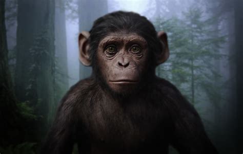 Archives Of The Apes War For The Planet Of The Apes 2017 Concept Art