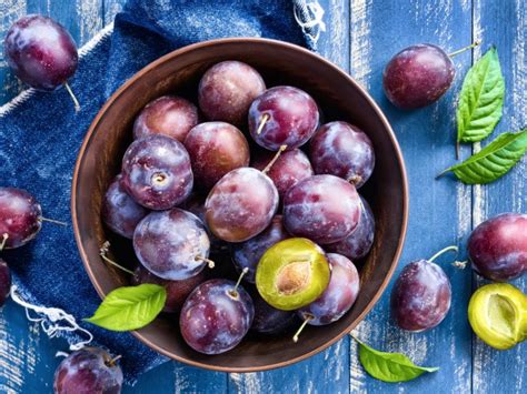 Bloom.it was previously known as caballero control corporation. 9 Science-backed Health Benefits of Plums | Organic Facts