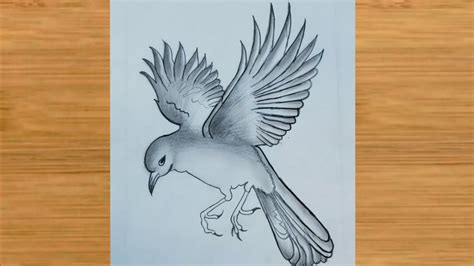So Beautiful Scenery Drawing Of Flying Birds Pencil Sketch Bird