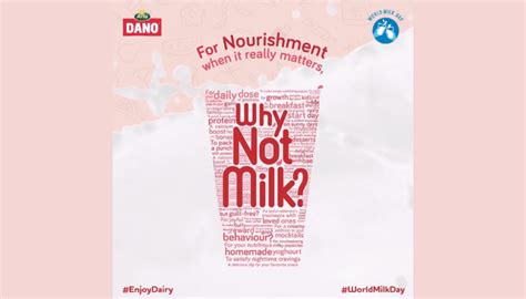 World Milk Day 2023 Enjoy Dairy With Dano Milk Nigeria Businessday NG