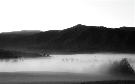 Magical Foggy Morning In Cades Cove Photograph By Dan Sproul Fine Art