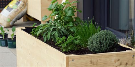 Why You Should Have A Raised Herb Container Garden Plant Perfect