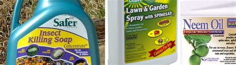 We carry organic pesticides, natural & organic inseticides, insect lures, insect traps, insect barriers, insect deterrents and much collection: Organic Gardening 101 - Insecticidal Soap - Gill Landscape ...