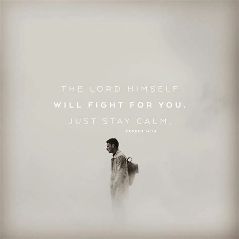 The Lord Himself Will Fight For You Just Stay Calm Exodus 1414
