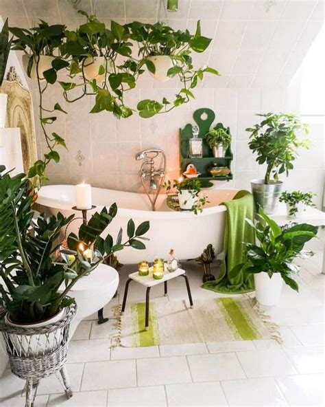Plantas Recomendadas Para Baños White Bathroom Tiles Bathroom Plants