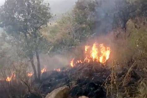 Forest fires have become a seasonal phenomenon in indonesia. Theni forest fire: Three missing school kids rescued by ...