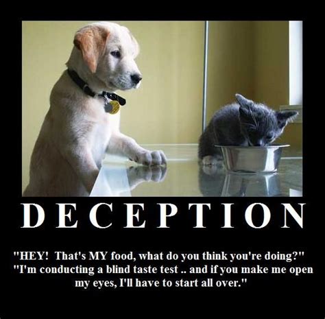 Deception Motivational Posters Fur Babies Thinking Of You Dog Cat