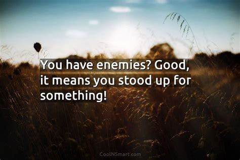 Quote You Have Enemies Good It Means You Stood Up For Something Coolnsmart