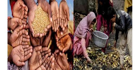 پاکستان میں خوراک کا بڑھتا ہوا بحران ‘آنے والے دنوں میں خوراک کی بدترین قلت پیدا ہونے کا خدشہ