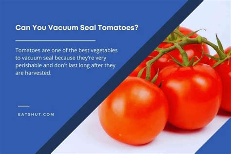 Can You Vacuum Seal Tomatoes Explained