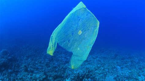 A Polymer Problem How Plastic Production And Consumption Is Polluting